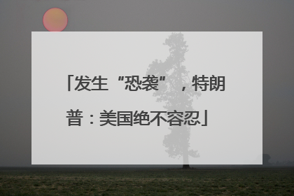 发生“恐袭”，特朗普：美国绝不容忍